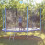 Escalera de trampolín de 76 cm 3