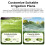 3X Zigbee  Water Valve  Timing Irrigation  IP55 Automatic Irrigation Easy Install Remote Control B 7