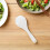 White Nonstick Reusable Reusable Plastic Rice Paddle with Handle for Kitchen Serving 10