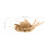 4Stk Transparente -Pumpflasche Aus Kunststoff, , 7Ml 2