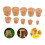 100Pcs Stoppers Light Brown for Essential Oil Jars 5