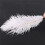 60 Pieces White Natural Ostrich Feather 20-25cm Wedding DIY 2