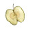 Botanic & Fruits Tørret Æble Glas 45g 2