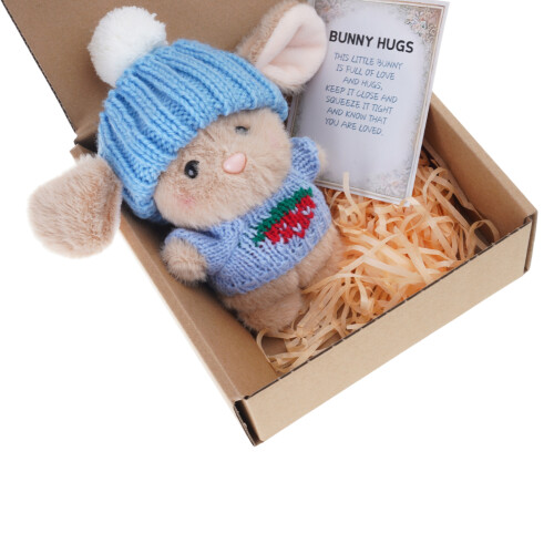 Lapins de pâques en peluche douce, boîte décorative,-Type C bleu