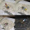 Metal Puzzle Steampunk Mechanical Spiders DIY Assembly-Gold 2