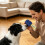 Professional Dog Scent Work Set Includes Wood-green large size 6