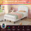 (3ft, Velvet, White) Single Upholstered Bed with LED Adjustable Shell Shape Headboard, Single Bed Frame with Solid Wood Slat 4