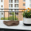 Bois Naturel Pour Usage En Jardin 3