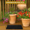 Seed Germination Heating Mat USB Powered Portable Black Adjustable 5