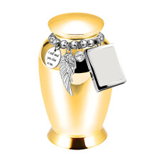 Pet Ashes Casket Urn Casket Jar for Animal Pet Mom Urn for-Gold