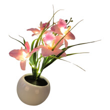 Schmetterling-Orchidee-Blumentopf-Lampe, elegante-Rosa