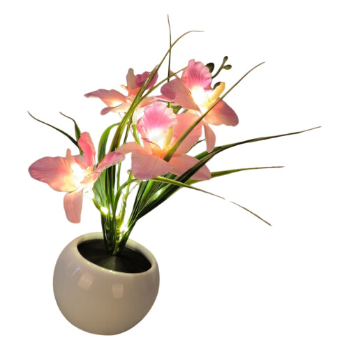 Schmetterling-Orchidee-Blumentopf-Lampe, elegante-Rosa