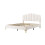 4ft6 Double Premium Velvet Upholstered Bed Frame 6