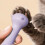Durable ABS Plastic Beak Trimmer For Parrots To Satisfy-Purple 3