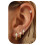 (D) Minimalist Hoop Stud Earrings 3-Piece Set 2