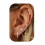 (B) Minimalist Hoop Stud Earrings 3-Piece Set 4