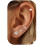 (C) Minimalist Hoop Stud Earrings 3-Piece Set 3