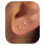 (H) Versatile Stud Earrings for Women 2