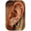 (C) Minimalist Hoop Stud Earrings 3-Piece Set 1
