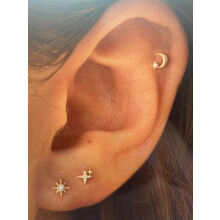 (L) Mini Starfish Butterfly Stud Earrings, Niche Women's Accessories