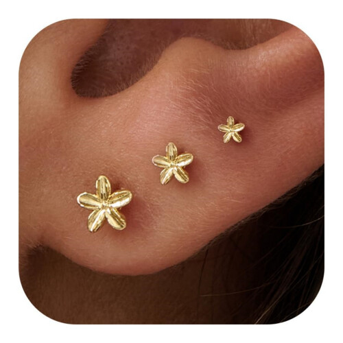 (A) Mini Starfish Butterfly Stud Earrings, Niche Women's Accessories
