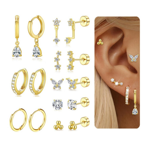 (D) Zircon Heart Moon Stud Earrings Set