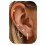 (D) Minimalist Hoop Stud Earrings 3-Piece Set 1