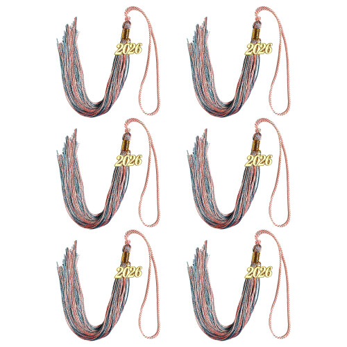 Polyester 2026 Graduation Tassels For Cap Year Emblems-26 6PCS