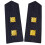 Elegant Shoulder Boards Suitable For Multiple Uniform-A 1