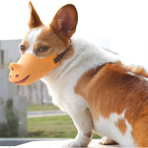 Ρύγχος Rhino Snout XL (18-20cm) για μεσαίους/μεγάλους σκύλους. Αντιδαγκώνει και αντιγαυ 1