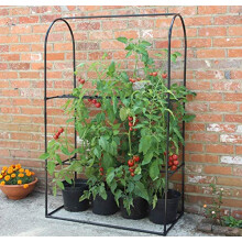 Haxnicks Tomato Crop-Booster Frame | W 100cm x H 160cm x D 50cm | FRAME210101