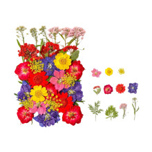 Natural Dried Flower For Bookmarks Jewelry- summers scenery