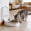 Timed Pet Diet Distributor With Two Parts For Different-1 2