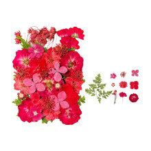 35Pcs Natural Dry Flower Leaves for Art Craft-booming