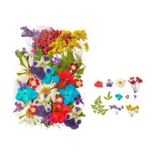 Natural Dried Flower For Epoxy Resin Soap Candle-Fantasy