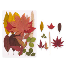 Pack Of 1 Dried Flower Craft Set For DIY Resin Art Bookmarks-I