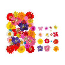 Trockenblumen- und Blätter-Set für-Frühlingsfantasie