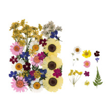 Natural Dried Flower For Epoxy Resin Soap-golden rice fields