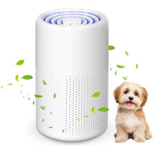 Air Purifier HEPA Allergy Filter Air Purifier Allergy and Portable, removes dust, pollen, animal hair, and odors