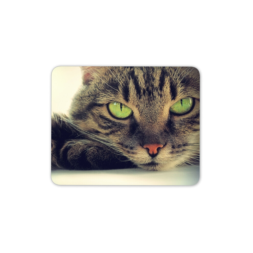 Destination Vinyl Ltd Beautiful Cat Mouse Mat Pad - Kitten Cats Mum Sister Pc Computer #8306 7625904463541