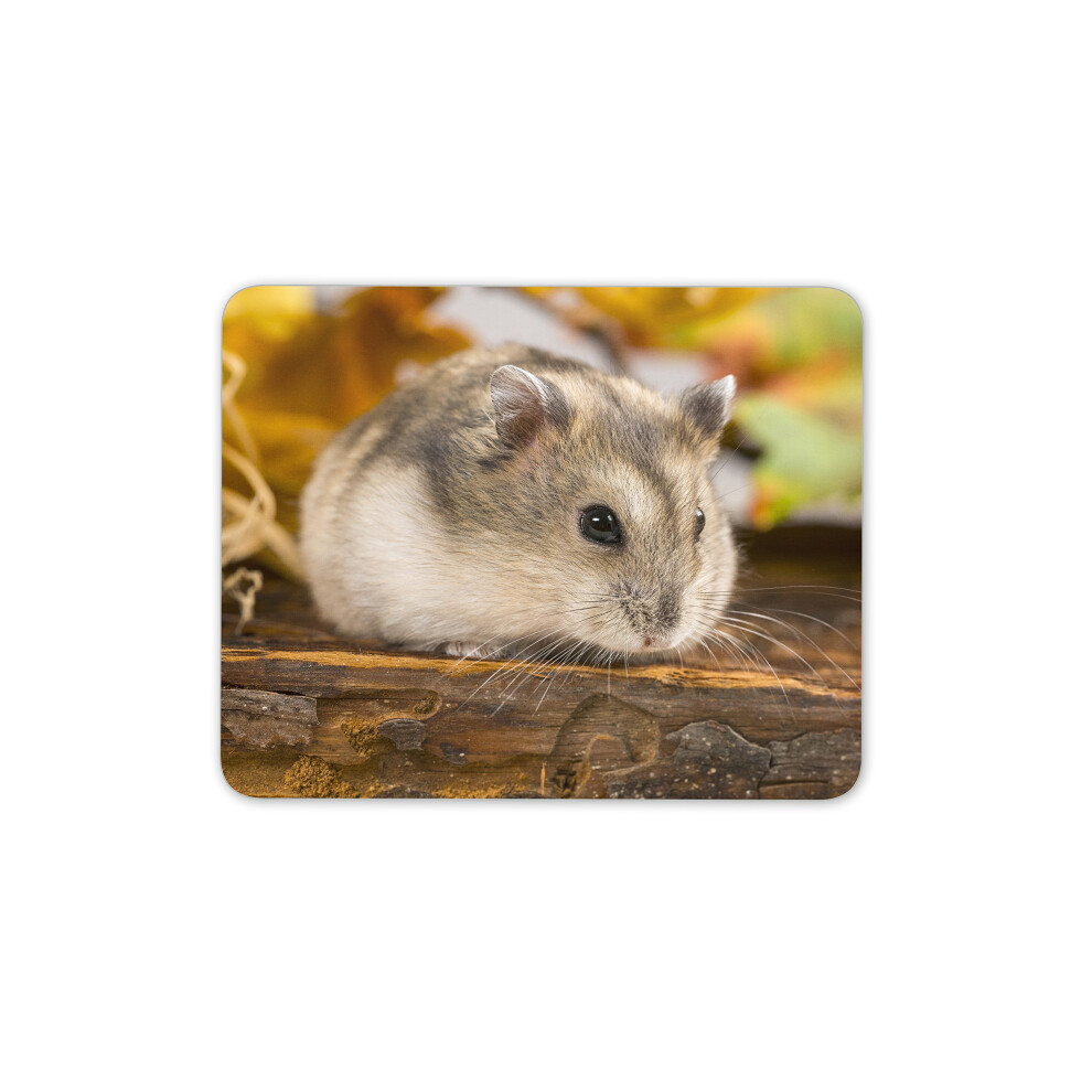 Cute Field Mouse Mouse Mat Pad - Mice Rodent Hamster Kids Gift Pc Computer #8500 7625896674826