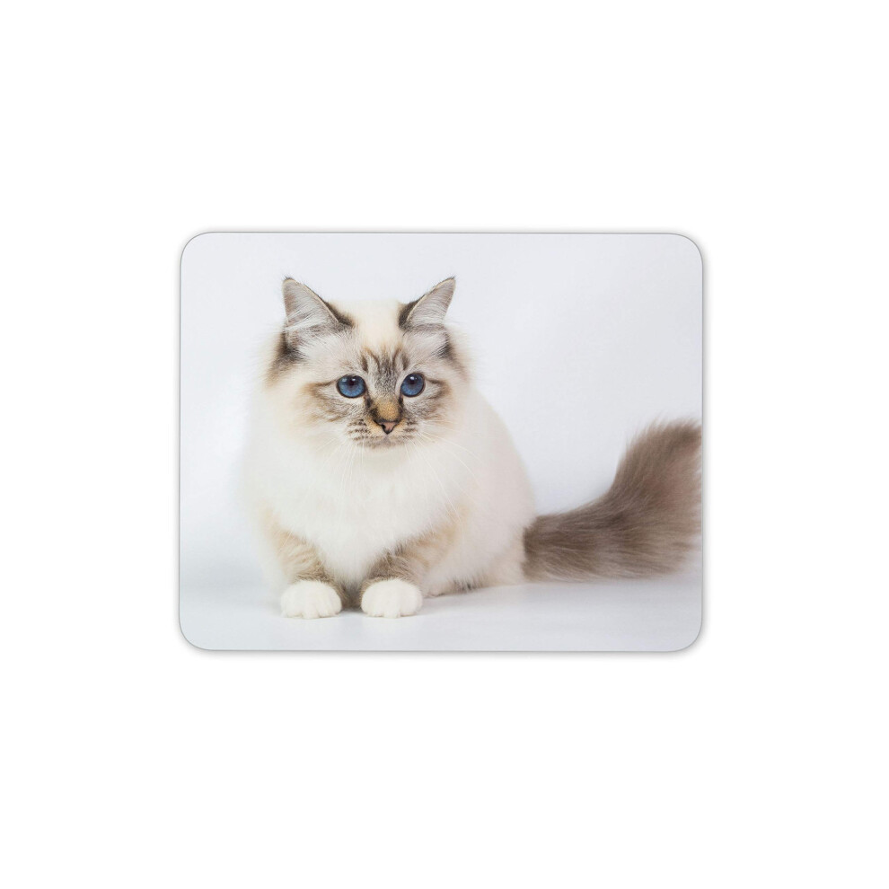 Destination Vinyl Ltd Sacred Birman Cat Mouse Mat Pad - Kitten Pet Eyes Cute Computer #15565 Blue 7625820665722