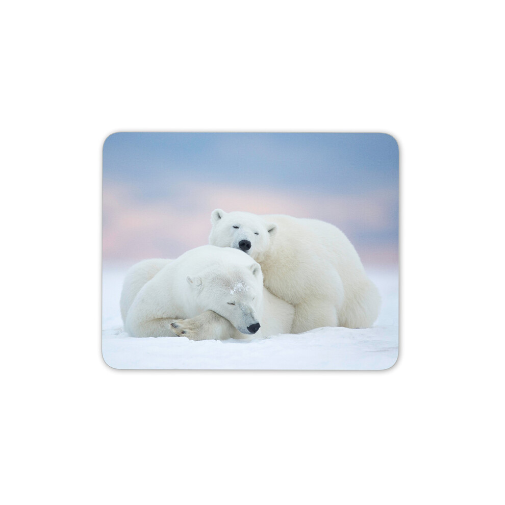 Destination Vinyl Ltd Cute Polar Bear Mouse Mat Pad - Bears Mum Sister Daughter Computer #13163 7625891695574