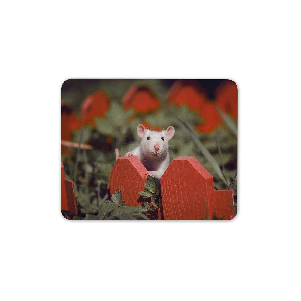 Adorable Rat Mouse Mat Pad - Mouse Mice Animal Fun Gift Pc Computer #8778 White 7625899449018