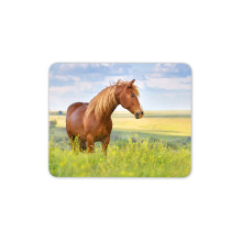 Beautiful Brown Horse Mouse Mat Pad - Equestrian Animal Gift PC Computer #8395