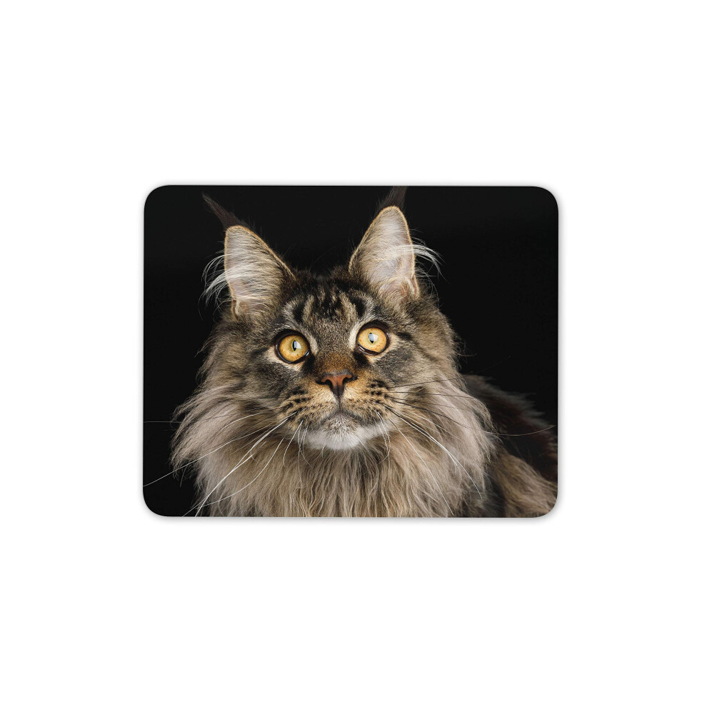 Destination Vinyl Ltd Maine Coon Cat Mouse Mat Pad - Exotic Breed Feline Lover Computer #16225 7625838457135