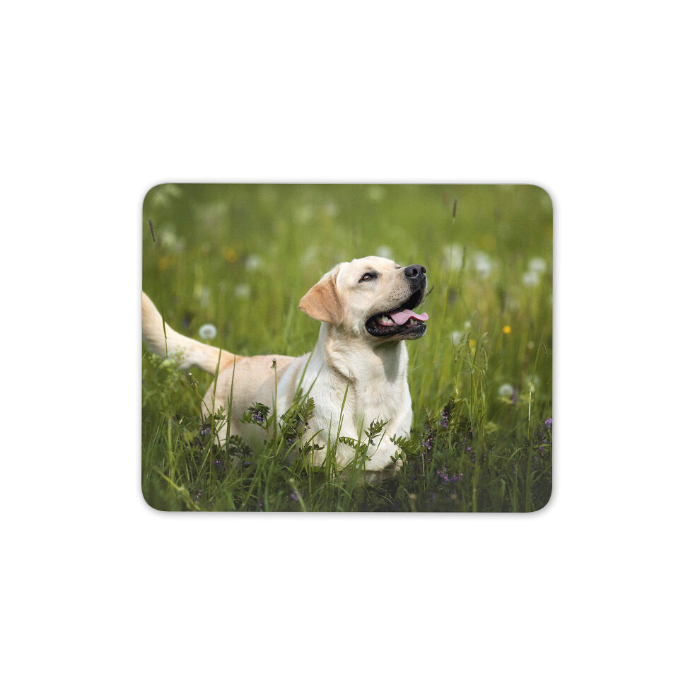 Destination Vinyl Ltd Retriever Dog Lover Mouse Mat Pad - Canine Good Boy Computer #16887 Golden 7625850697045