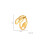 (Steel Color) Adjustable Leaf Ring, Stainless Steel 5