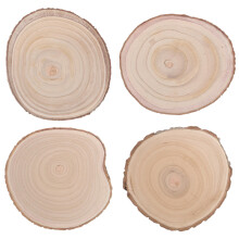 4Pcs Coffee Round Wood Slices Unpainted Bases for Crafting and Decor