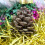 Set van 9 kerstdennenappels, kerstboomversiering om op te hangen. 2